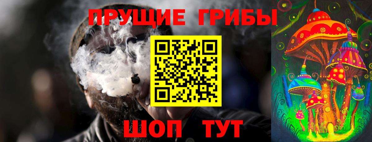 Александров  Галлюциногенные грибы мицелий  Вход с VPN  Галлюциногенные грибы Psilocybine cubensis 
