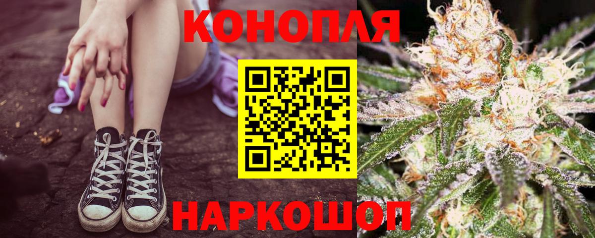 Бошки марихуана OG Kush  Конопля ГИДРОПОН  Вход с VPN  Александров  Марихуана конопля 